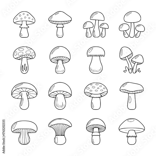 A Collection of Hand-Drawn Mushroom Illustrations in Black and White