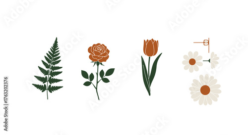 Botanical collage featuring a fern rose tulip and delicate blossoms for elegant floral designs isolated on white background
