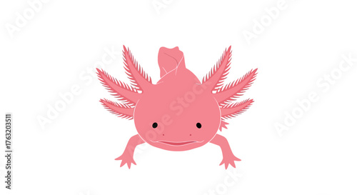 Cute pink axolotl cartoon character smiling adorable amphibian aquatic pet animal with gills and feet detailed fun graphic isolated on white background