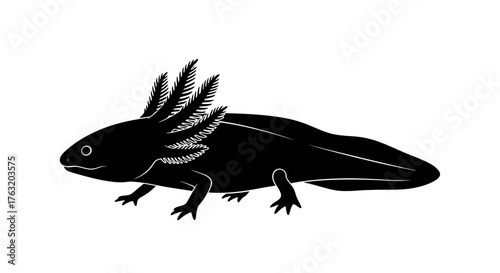 Detailed silhouette of a black axolotl with external gills and tail isolated on for wildlife and pet concepts isolated on white background