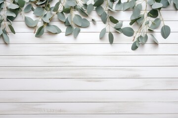 Eucalyptus branches creating a border on white rustic wooden planks with copy space