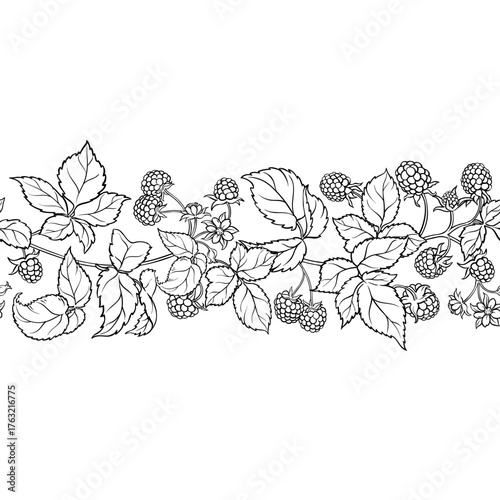 Raspberry Branch with Flowers, Berries and Leaves Outline Horizontal Seamless Pattern. Organic natural nutritional healthy food ingredient, vegetarian diet product. Vector isolated for design or decor