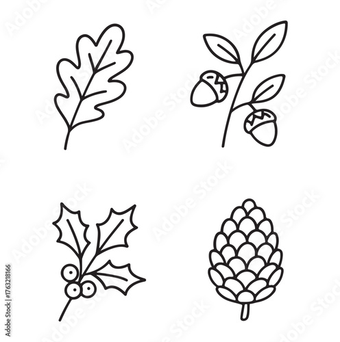 Autumnal Botanical Line Art Collection: Oak Leaf Acorns Holly and Pinecone.