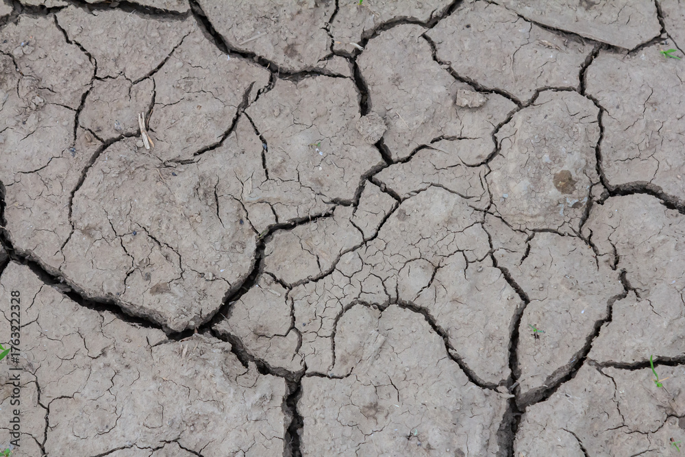 Fototapeta premium Dry cracked earth highlights the effects of drought on soil health and agriculture in the rural landscape during summer