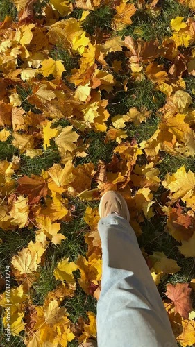 First person view of person legs walking on falling yellow leaves. Vertical, slow motion footage.