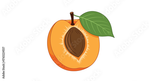 Half Apricot with Pit and Leaf on White Background.