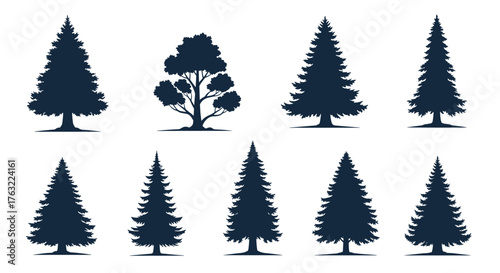 Collection of Various Pine and Evergreen Tree Silhouettes.