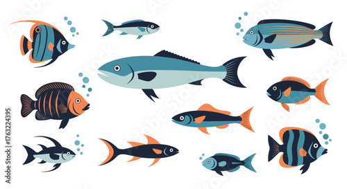 Vibrant Collection of Diverse Tropical and Freshwater Fish Species Swimming in Water.