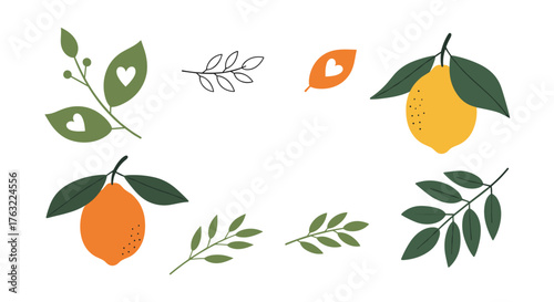 Vibrant Citrus Fruits and Green Leaves Collection.