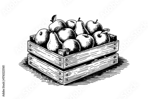 a wooden crate filled with apples and pears, detailed with shading and rustic artistic texture.