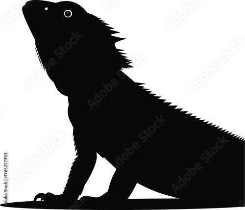 Bearded Dragon Vector Graphic Illustration Silhouette