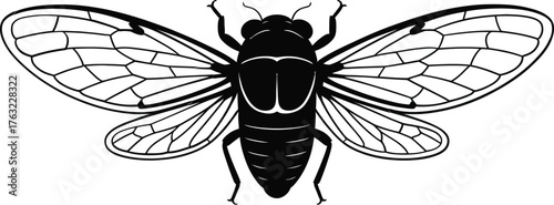 Cicada Insect Silhouette Vector Illustration