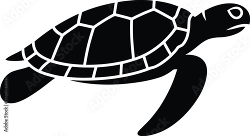 Sea Turtle Silhouette Aquatic Reptile Vector Art