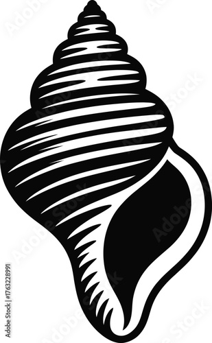 Seashell Conch Shell Spiral Marine Life Ocean Design