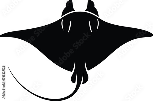 Silhouette Stingray Swimming Creature Marine Life
