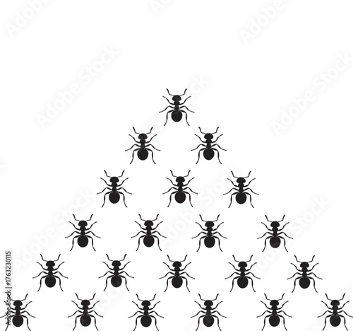 Pyramid formation of black ant silhouettes on a white background ants