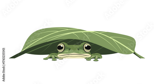 Frog hiding under a leaf looking directly at the viewer.