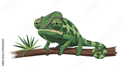 Green chameleon perched on a branch looking focused and alert.