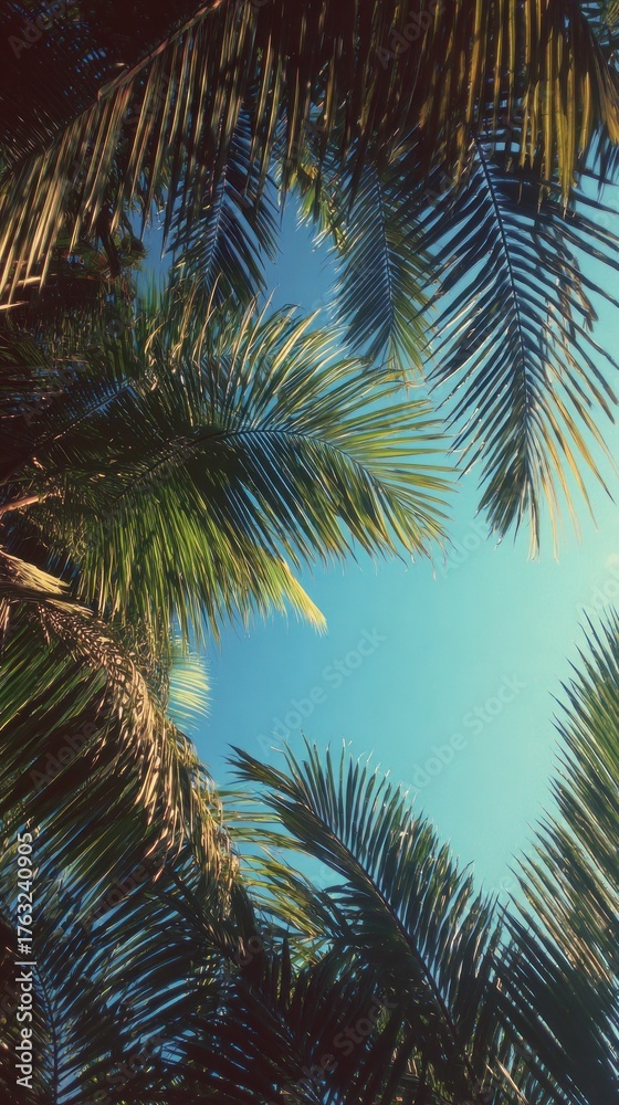 Fototapeta premium Palm fronds frame a sunny blue sky, viewed from below with a warm vintage tint