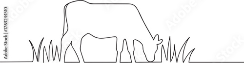 Cow eating grass one continuous line art, Vector illustration, One line art, Line art graphic style