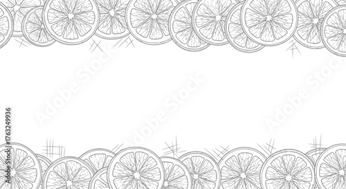 Elegant citrus slice frame in subtle gray shades for diverse creations