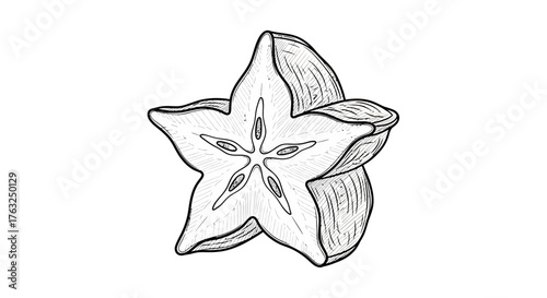 Botanical illustration of a carambola slice with intricate linework