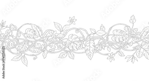 Delicate line art botanical illustration with lush foliage and winding vines