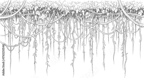 Detailed jungle canopy illustration with hanging vines and foliage