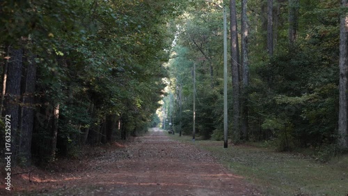 Leonardtown, Maryland USA A long straight road through a forest and grazing deer.