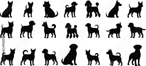 Dog breed silhouette vector illustration, black and white pet clipart, standing poses, varied shapes and sizes, outlined style, graphic, clean, educational