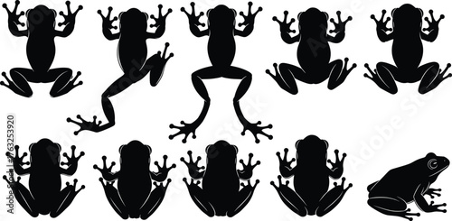 Frog silhouette vector illustration, black and white amphibian clipart, varied poses and realistic detail, outlined style, bold, graphic, educational, natural
