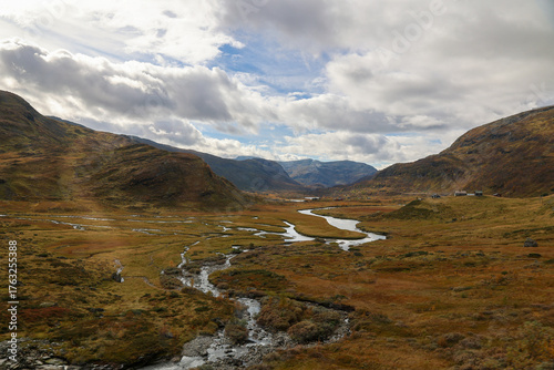beautiful valley along the scenic railway track between Oslo and Bergen