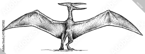 Vintage engraving isolated pterosaur set illustration pterodactylus ink sketch. Flying dinosaur background silhouette Jurassic art. Black and white hand drawn vector image