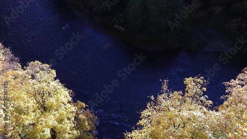 Yellow autumn foliage trees with river Vltava on background, aerial view