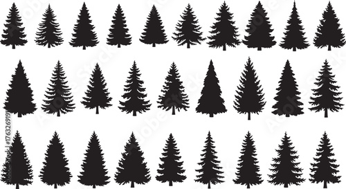 set of fir trees, editable vector file on transparent background