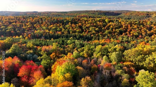 Aerial drone footage of orbiting over beautiful colorful autumnal forest in the late afternoon