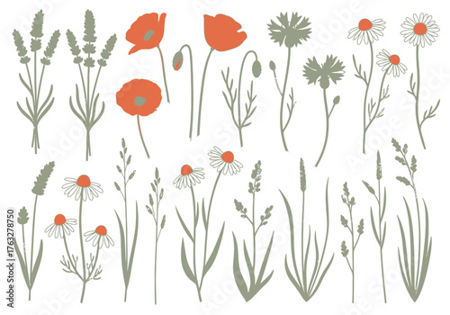 A minimalist botanical collection of various wildflowers and herbs, including poppies, lavender, cornflowers, and chamomile, isolated on a white background.