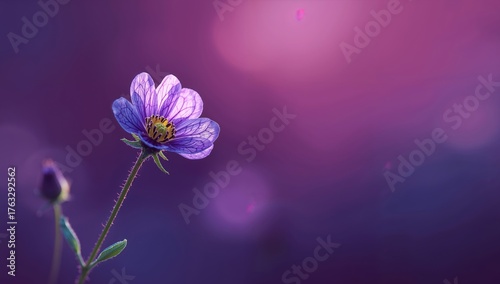Violet Blooms Serenity. A Delicate Floral Portrait Against a Dreamy Backdrop.
