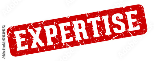 expertise rectangular sign. expertise stamp