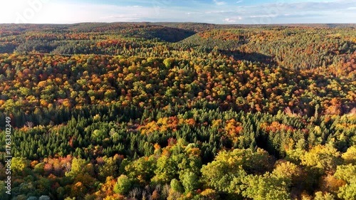 Aerial drone footage of descent over beautiful colorful autumnal forest in the late afternoon