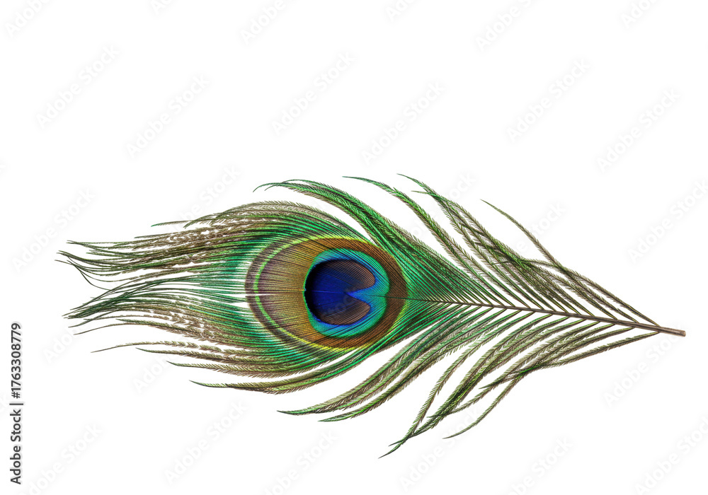 Obraz premium Isolated Eye of Peacock Feather, Ocellus Pattern, Exotic Bird, Bright Colors, Elegant Detail