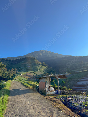 Footpath with mountain views