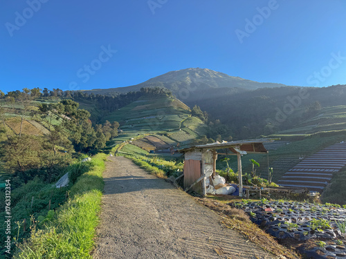 Footpath with mountain views