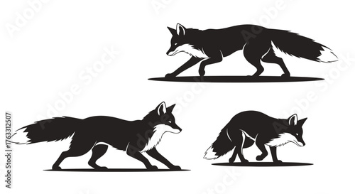 Three black fox silhouettes on a white background walking and focused.
