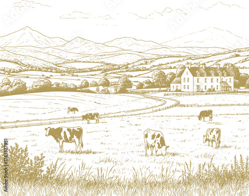 Panorama of pastures and mountains. A farmstead, a dairy farm and cottages, a road between pastures. Cows graze in field, grass and bushes in the foreground. Sketch, linear drawing on white background