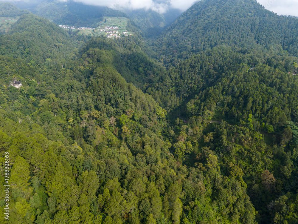Fototapeta premium Aerial panoramic view of lush green mountain forest under daylight.