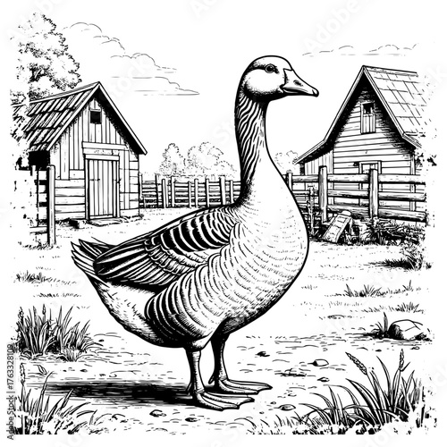 A goose on a farmstead. Rustic house, simple drawing, sketch. Vector illustration. Farm bird, isolated on a white background. Grass and bushes