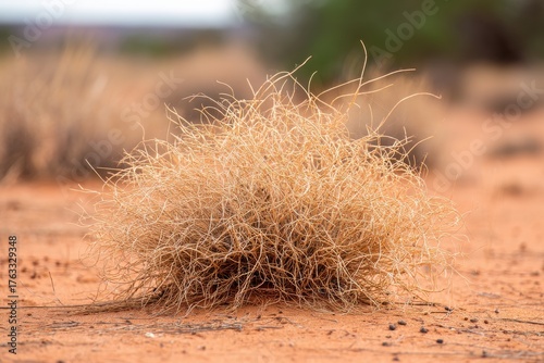 Tumbleweed Resting on Red Desert Sand Close Up Low Angle Shot in Arid Environment with Blurred Background and Soft Natural Light