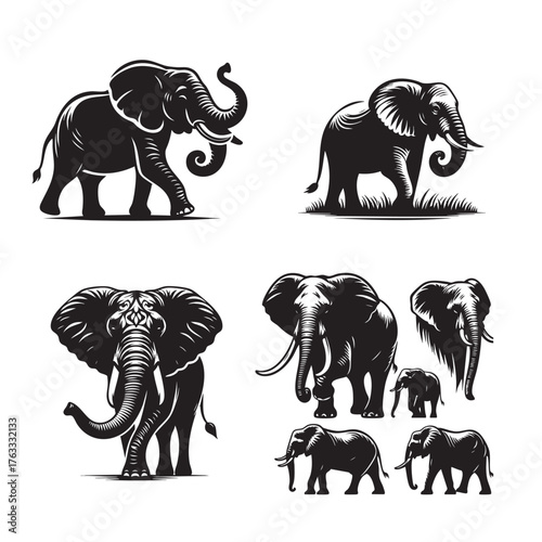 elephant black and white animal silhouette vector
