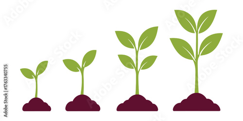 Illustration of a seedling growing through stages isolated on white background